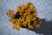 Blumen-Lochblende.jpg
