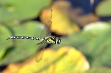 DSC_3189.jpg
