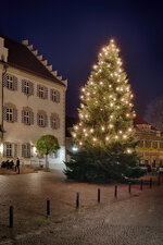 Christbaum_Rathaus_HDR_665.JPG