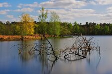 Lindensee_DSC02437_DxO_jiw.jpg