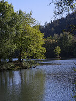 DSCF7981 klein.jpg