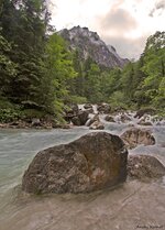 _MG_13372.jpg