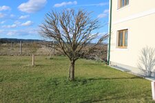 Baum Hand Vollautomatik (Custom).JPG
