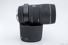 Sigma 150 DSLR-5.jpg