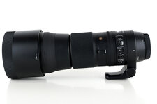 Sigma150-600_1.JPG