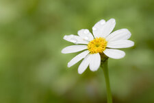 A75_0457.jpg
