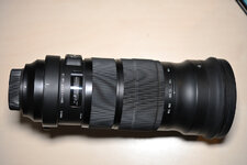 Sigma-120-300-S-OS-2-8-9843.jpg