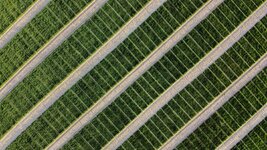 DJI_0172.jpg