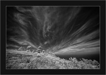 DSC00183.jpg DSC00183.jpg