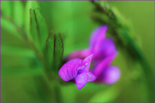 N85_7322f.jpg
