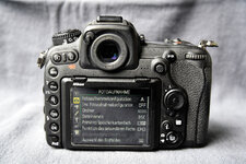 Nikon-D500_02.JPG