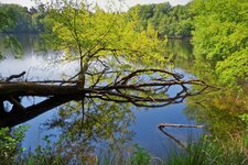 Lindensee_DSC02444_DxO_jiw.jpg