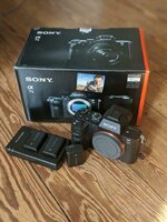 sony-alpha-ii-1.jpeg