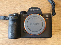 Sony_A7r3_1.jpg