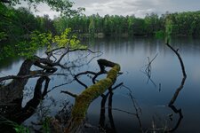 Lindensee_DSC02548_DxO_jiw.jpg