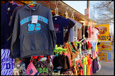 DSCF2522a1200.jpg