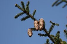 IMG_0569.jpg