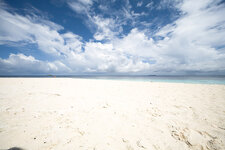 IMG_1517_1200_.jpg