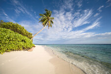 IMG_1386_1200_.jpg