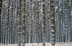 Bild0007_2_bearbeitet-1 klein.jpg