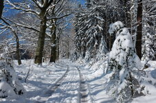 DSCF1344 klein.jpg DSCF1344 klein.jpg