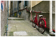 rotes Fahrrad 5.6.jpg