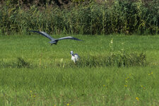 P1000132-Bearbeitet.jpg