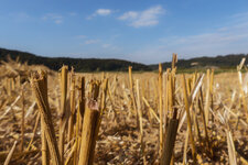 P1000119-Bearbeitet.jpg