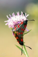comp_DSC_1970-Bearbeitet.jpg