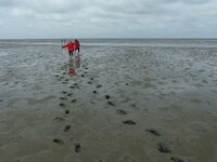 P1040747verkl, ooc.jpg