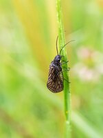 k-IMG_2474.jpg