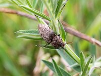 k-IMG_2471.jpg