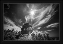 L1001938.jpg L1001938.jpg