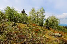 Feldberg_DSC02512_DxO_jiw.jpg