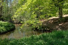 DSCF4852.jpg