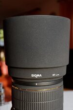 Sigma_80-400_05.jpg