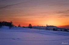 hackensee-26. Januar 2013-1.jpg
