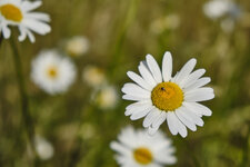 DSCF6283.jpg