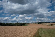 DSCF9344.jpg