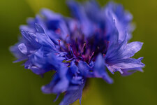 N85_9212f.jpg