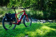 DSC_0996 (2)_red.jpg
