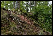 Odenwald_DSC07827_ji_jiw.jpg