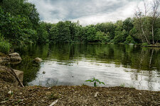 DSC05216-2.jpg