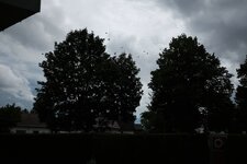 X1DT0112_1024.jpg