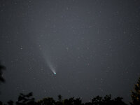 800_4640 -2.jpg