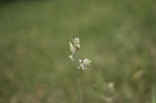 IMG_0033.jpg