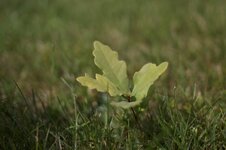 IMG_0035.jpg