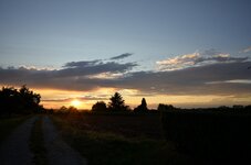 DSC_0686_1.jpg