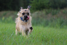 Chewi-Wiese-0279.jpg