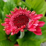 DSC00060_1.JPG